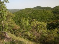 GR, Evros, Dadia forest 2, Saxifraga-Dirk Hilbers